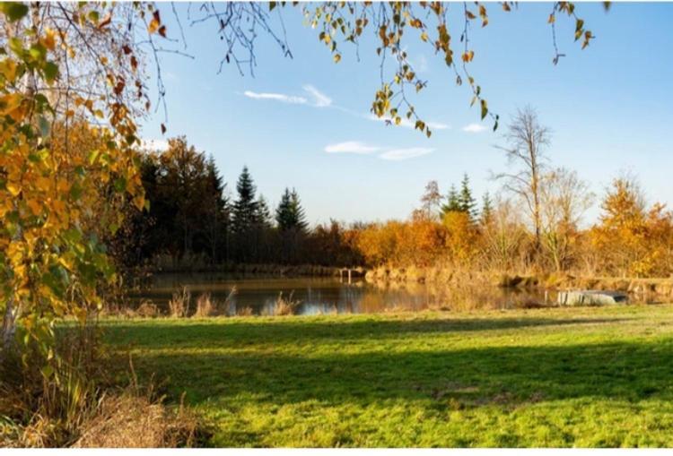 Les Chatelliers Bouzy-la-Foret ภายนอก รูปภาพ