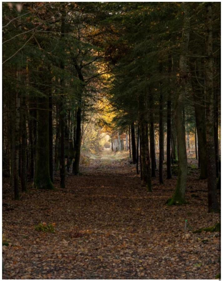 Les Chatelliers Bouzy-la-Foret ภายนอก รูปภาพ
