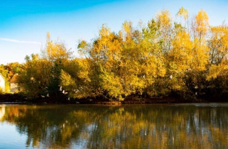 Les Chatelliers Bouzy-la-Foret ภายนอก รูปภาพ